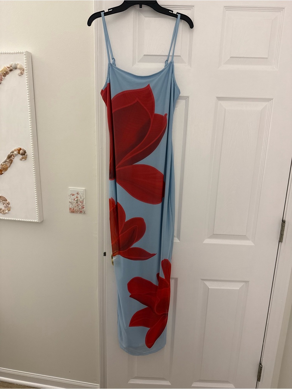 Light Blue Slip Dress with Red Floral Print